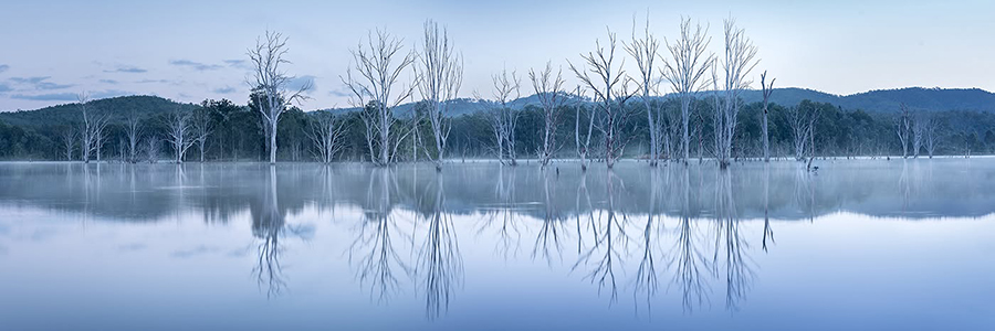 Blue_Hour_Wyaralong_DamT.jpg