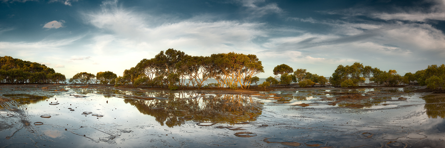 Coastal_Reflections_Qld_500.jpg