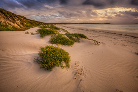 Sunrise_Glow_Esperance_WA.jpg